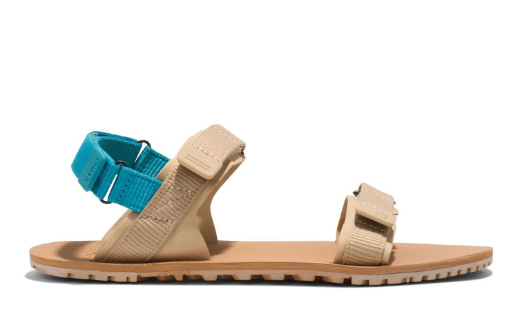 e6ee27b5-8060-477a-90d1-3d5106a67b32